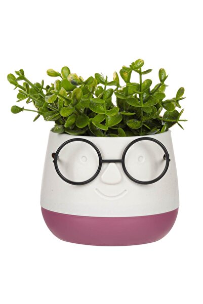 Zumzeria Ghiveci decorativ cu față ecru-burgundy, sticlă neagră și plantă art...