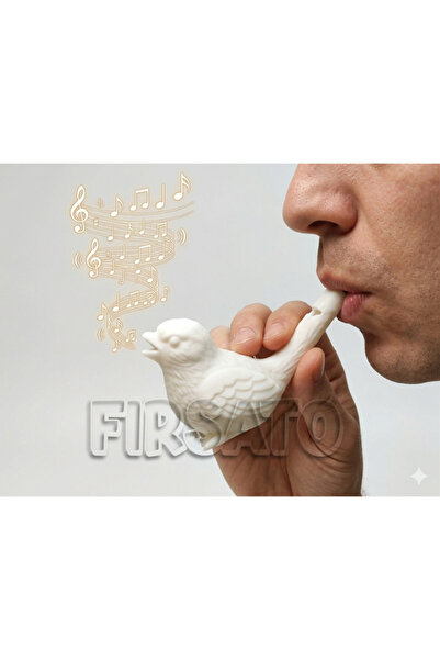 3D Canary Sound Interactive Water Whistle Bird Nightingale Canary Water Whistle 5 pcs
