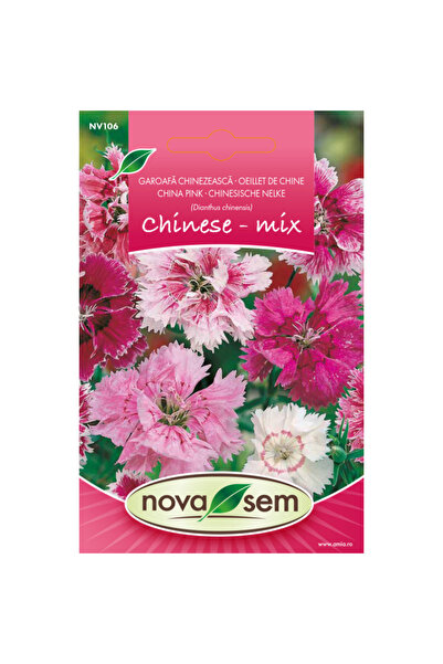 Novasem Seminte de flori garofita chinezeasca amestec Novasem, 0,5 g
