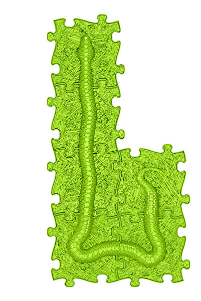 Muffik Snake Set · Yılan Seti | Lime-Açık Yeşil, 6’lı Sert Ortopedik Duyu Mat...