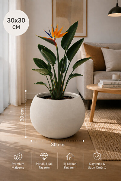 CANBOTANİK Premium Küre Saksı 30 cm Beyaz Dayanıklı Plastik Modern Saksı- İçl...