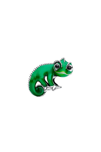 Charms Chameleon Talisman