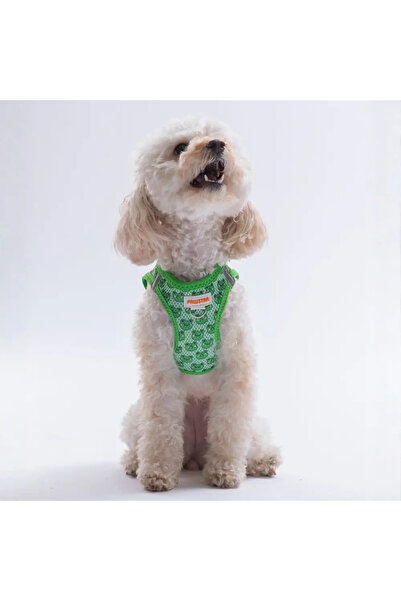 Pawstar Dog Harness