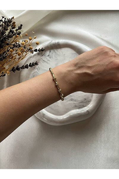 Novaglow Bambu Zincir Model Zirkon Taşlı 14K Altın Kaplama Bileklik