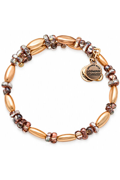 Alex and Ani Bratara Metal VW374RG