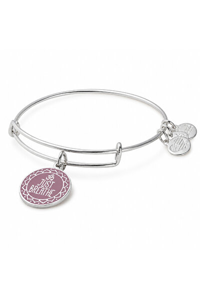 Alex and Ani Bratara Metal A17EBWAP05SS
