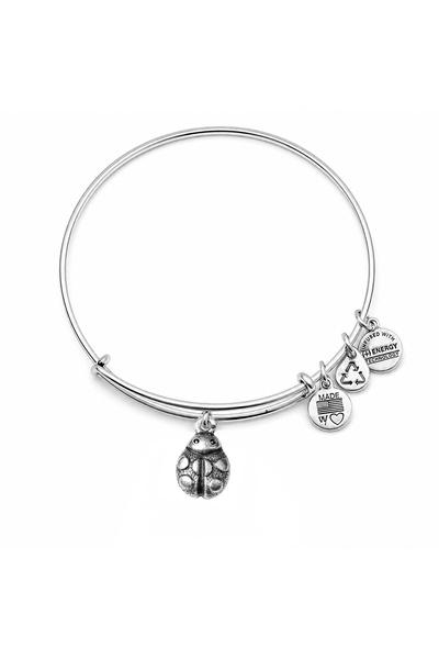 Alex and Ani Bratara Metal A12EB18RS