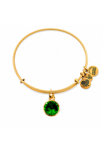 Alex and Ani Bratara Metal A12EB244RG