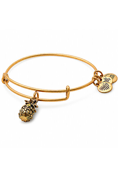 Alex and Ani Bratara Metal A17EB26RG