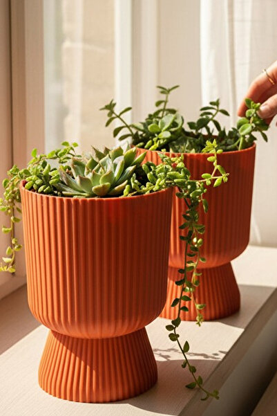 TEMMUZ HOME Lotus 2'li Set 1.8 Litre Ayaklı Saksı - 19.5 cm X 14 cm Çiçek ve ...