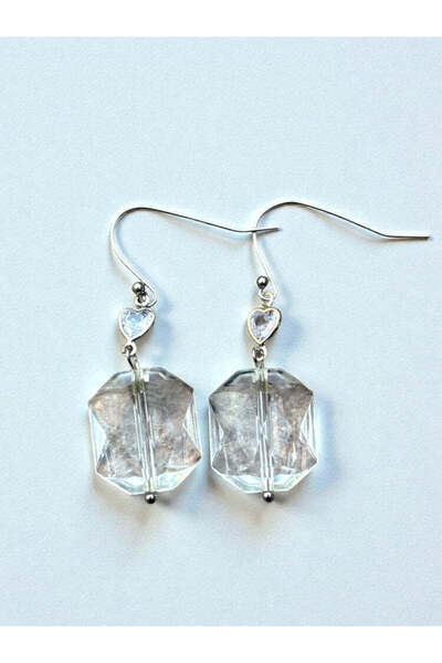Bozhi Heart Earrings Steel Sparkling Style