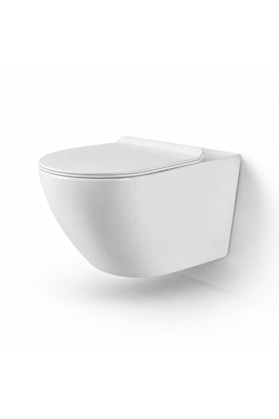 Casa Stile Vas WC suspendat W206, capac duroplast cu amortizor