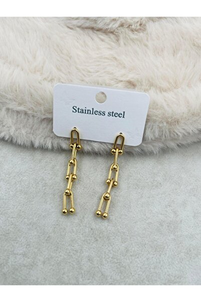 Bozhi Earrings Steel Silver Elegant Gift