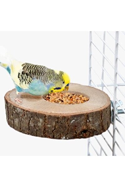 Yıldızan Terra Organic Natural Wood Bird Perch and Feeding Post Bird Perch Lo...