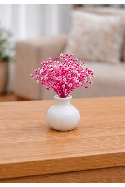 MİRAY FLOWERS HEDİYELİK Modern Dekoratif Masa fuşya Cipso Çiçeği Minimal Tasa...