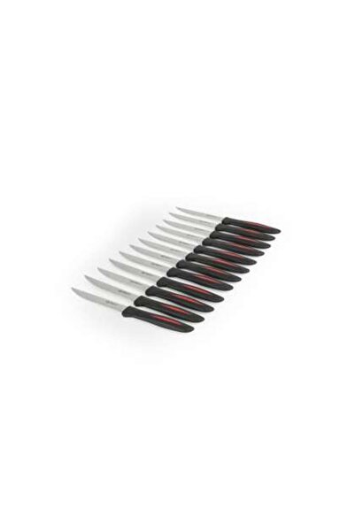 Alpina Set 12 Cutite Bucatarie ,Dimensiune 23 Cm