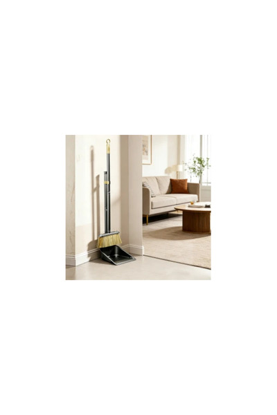 Deliny Broom and Dustpan Set, Metal, Hard Bristles 11 cm, Black