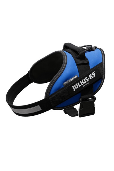 Julius K9 JK9 IDC Power M harness, blue, with reflective elements, chest circ...