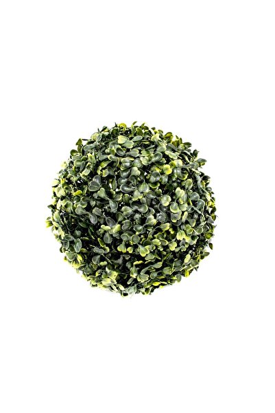 OEM Bile Verdeata Buxus 23 Cm