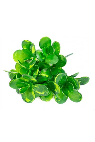 OEM Frunze Artificiale Buchet Frunza Grasa Mare Verde Cu Verde Cu Mov