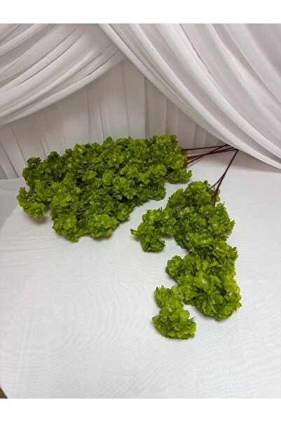 OEM Crengi Flori De Cires Verde