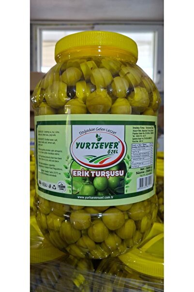 Yurtsever Özel Erik Turşusu 5 KG