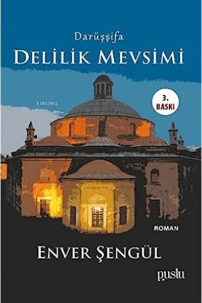 Puslu Yayıncılık Darüşşifa - Delilik Mevsimi