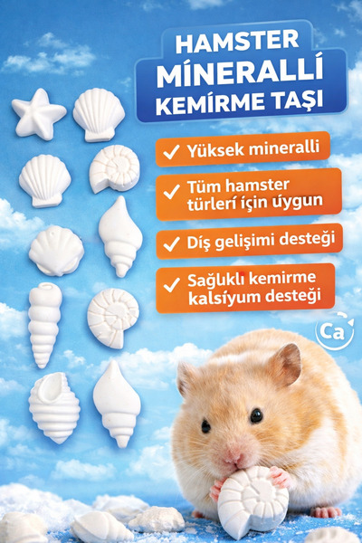 ozzipetshop Hamster Kemirme Taşı 16 Adet Deniz Kabuklu Mineral Blok Kalsiyum ...