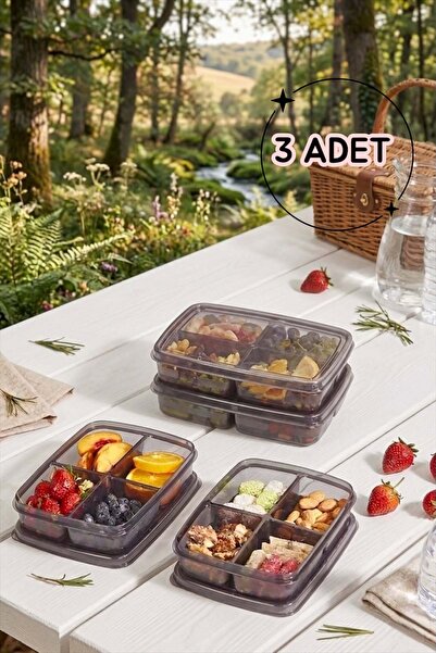 Bayev Smoked 3-Piece 400 ml Mini Storage Container - 4-Compartment Snack Bowl...
