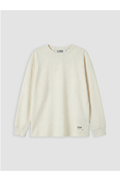LC Waikiki New Season Beige Crew Neck Long Sleeve Boys' T-Shirt
