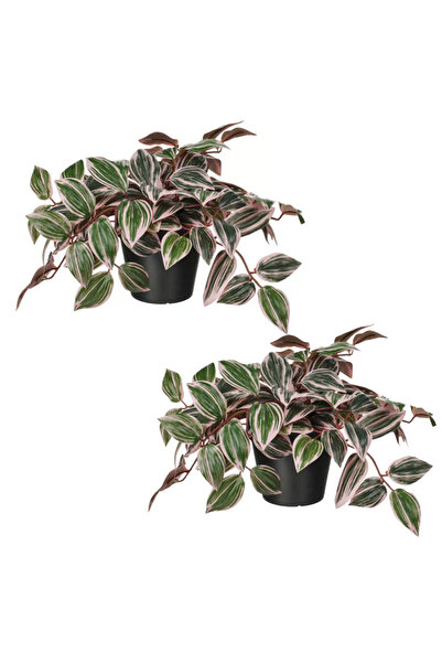 FEJKA Artificial Plant in a Pot 2 Pcs Tradescantia/Violet, 12 cm