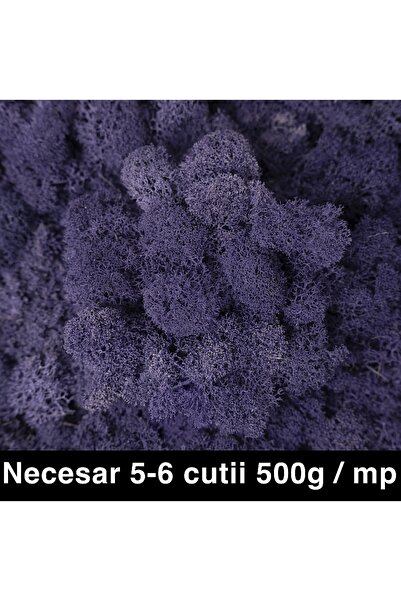 Roberto Rossi Licheni curatati si fara radacina conservati 500g NET, calitate...