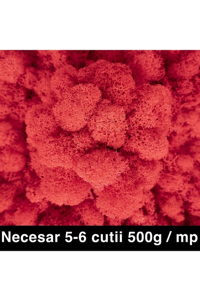 Roberto Rossi Licheni curatati si fara radacina conservati 500g NET, calitate...