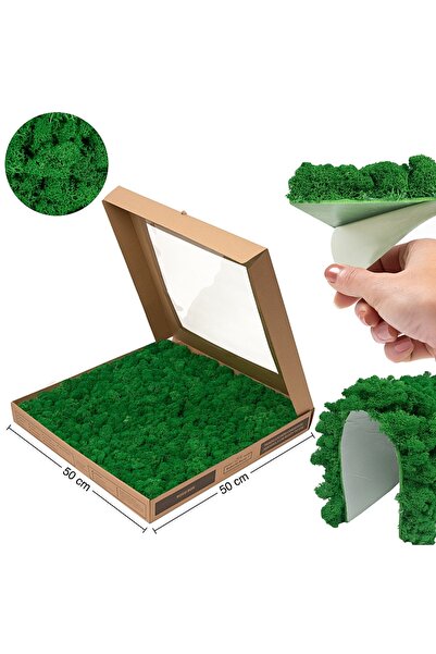 Roberto Rossi Licheni stabilizati gata lipiti panou 50x50x5,5 cm verde smaral...