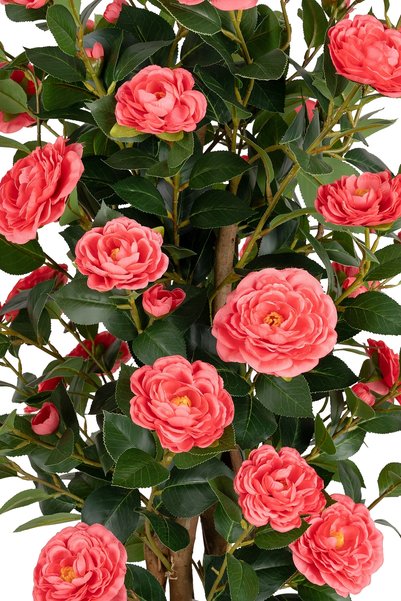 Roberto Rossi Copac artificial Camelia Japonica H120 cm cu 464 frunze si 64 flori roz