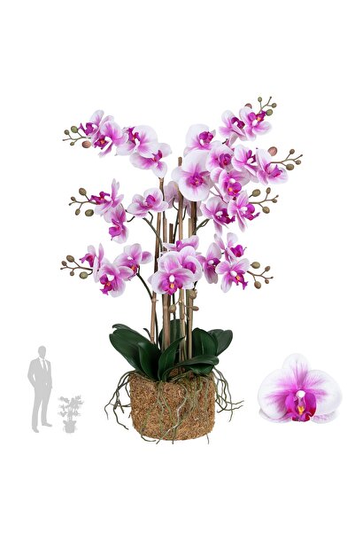 Roberto Rossi Orhidee artificiala alb cu mov cu aspect H71 cm cu 9 tulpini