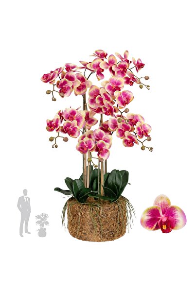 Roberto Rossi Orhidee artificiala roz cu galben cu aspect H90 cm cu 6 tulpini