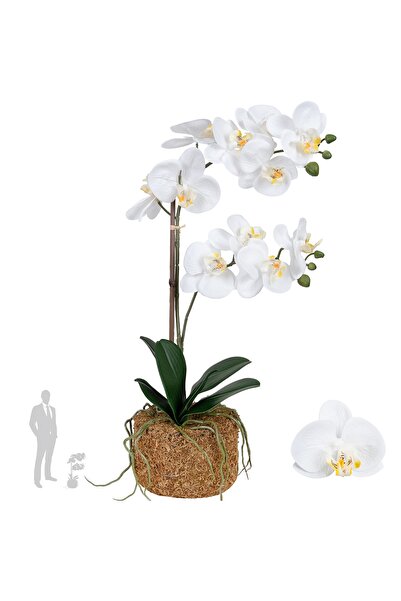 Roberto Rossi Orhidee artificiala alba cu aspect H58 cm cu 2 tulpini
