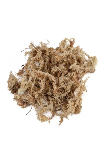 OEM Pachet promoțional: Mușchi Sphagnum uscat premium din Chile 5 kg - 230/25...
