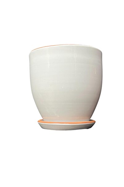BİTKİ TASARIMI Solina Beyaz Çift Sırlı İç ve Dış Mekan Kullanımlı Toprak Terr...