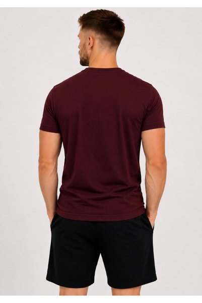 AXXEL Men's Plum Cotton Lycra Single Jersey Short-Sleeved T-Shirt-D230