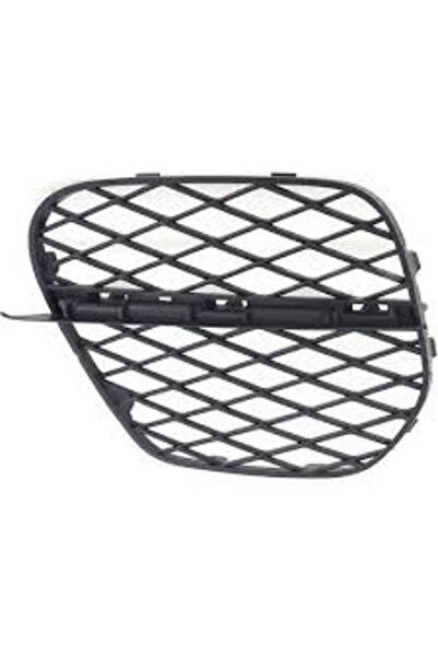 RapidAuto Grila bara fata Bmw X5 (E70), 04.2010-11.2013, Stanga, 51117222857,...