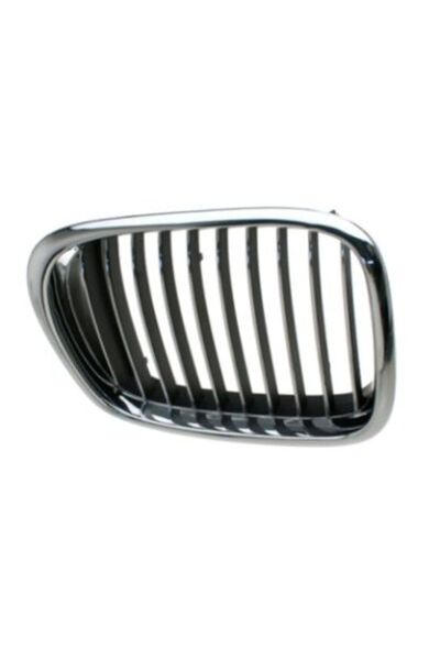 RapidAuto Grila radiator Bmw Seria 5 E39 model M5, 2000-06.2004, dreapta, cro...