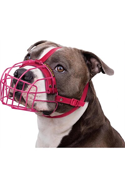MIULEE Botnita Metalica Ajustabila, Pitbull, Cos Metal, Respirabil, Captuseal...