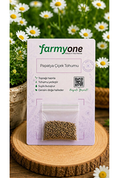 farmyone Papatya Çiçek Tohumu 100 Adet