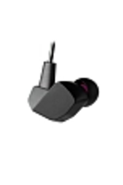 FİNAL Audio VR3000 with Controller & Mic Black In-ear headphones