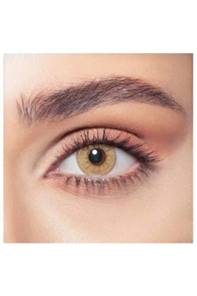 Bella Bella's Daily Colored Lenses - Hazel Beige