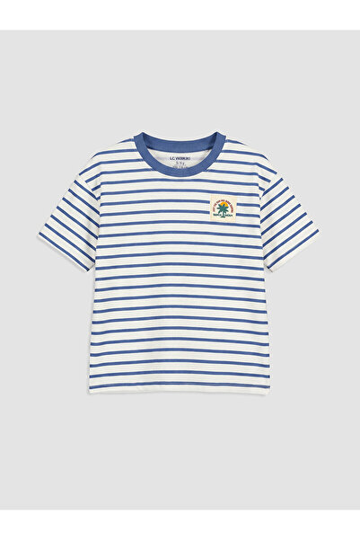 LC Waikiki Peak New Season Crew Neck Striped Boys' T-Shirt
