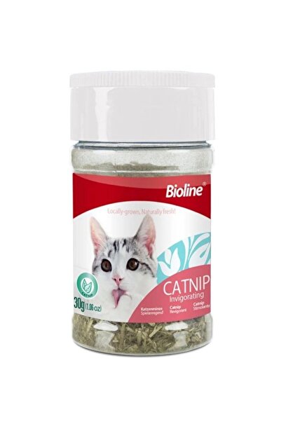 Bioline Bayoline Wild Mint Leaves - Catnip 30g