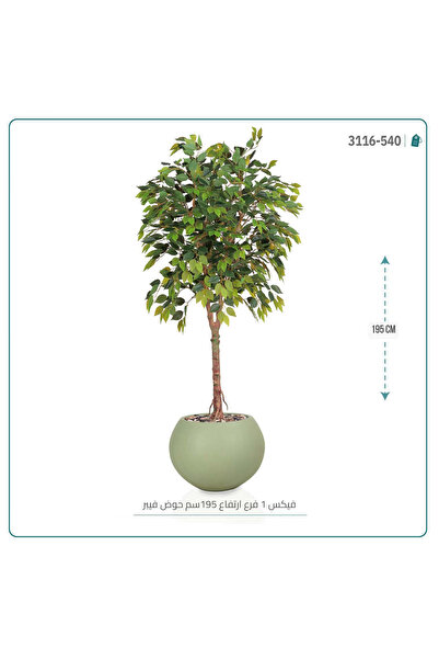 OEMS شجر ورق فيكس صناعي مركن فيبر { ارتفاع 195 سم }